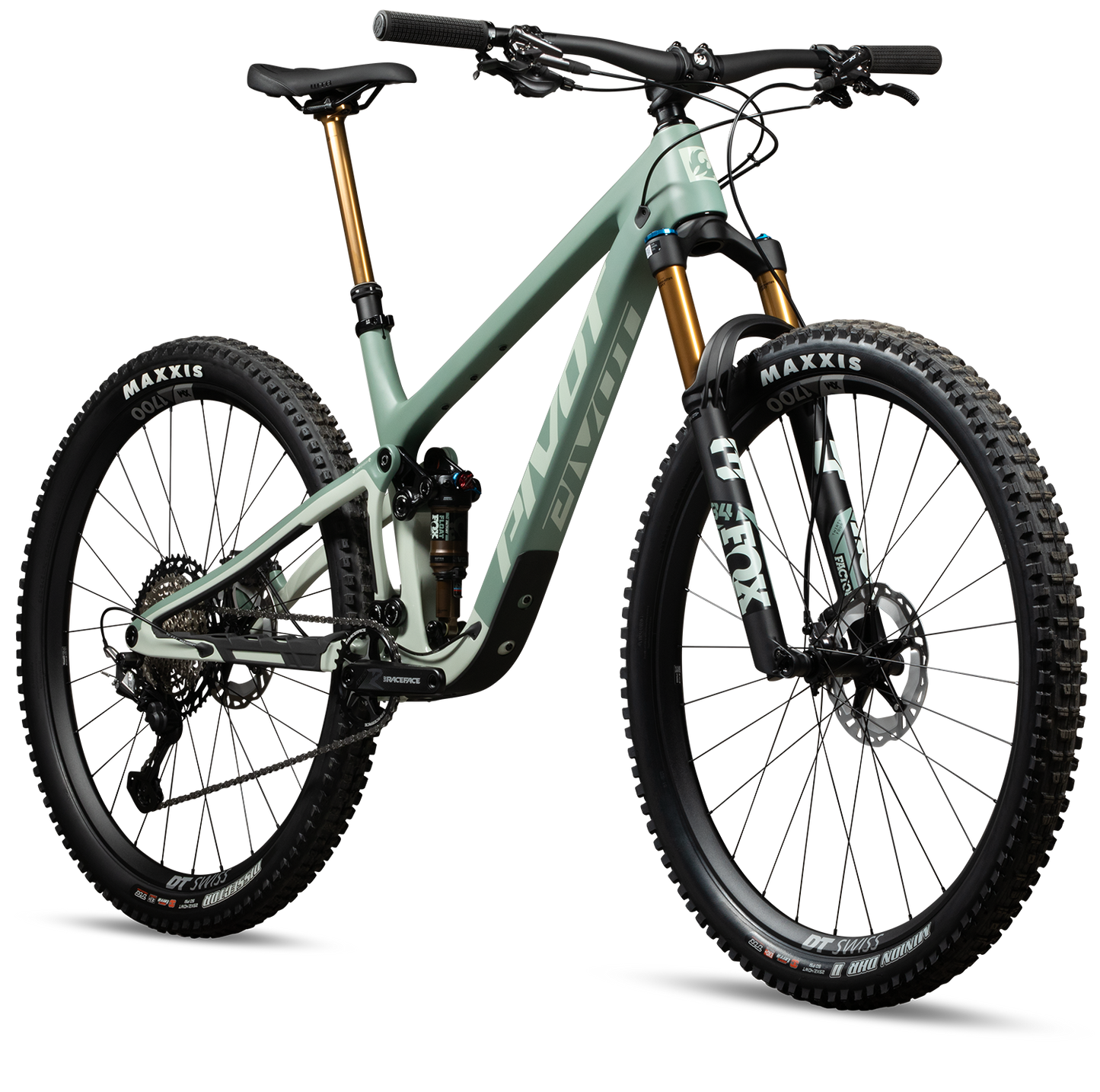 Trailcat LT Team