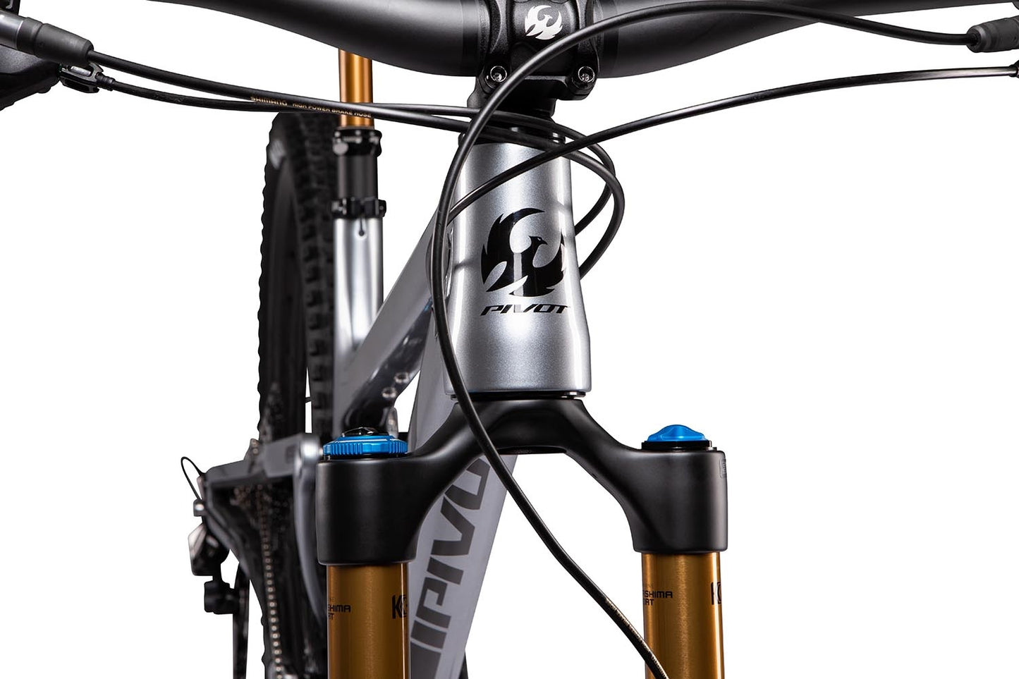 Trail 429 Ride