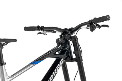 Summum Carbon RR Mullet