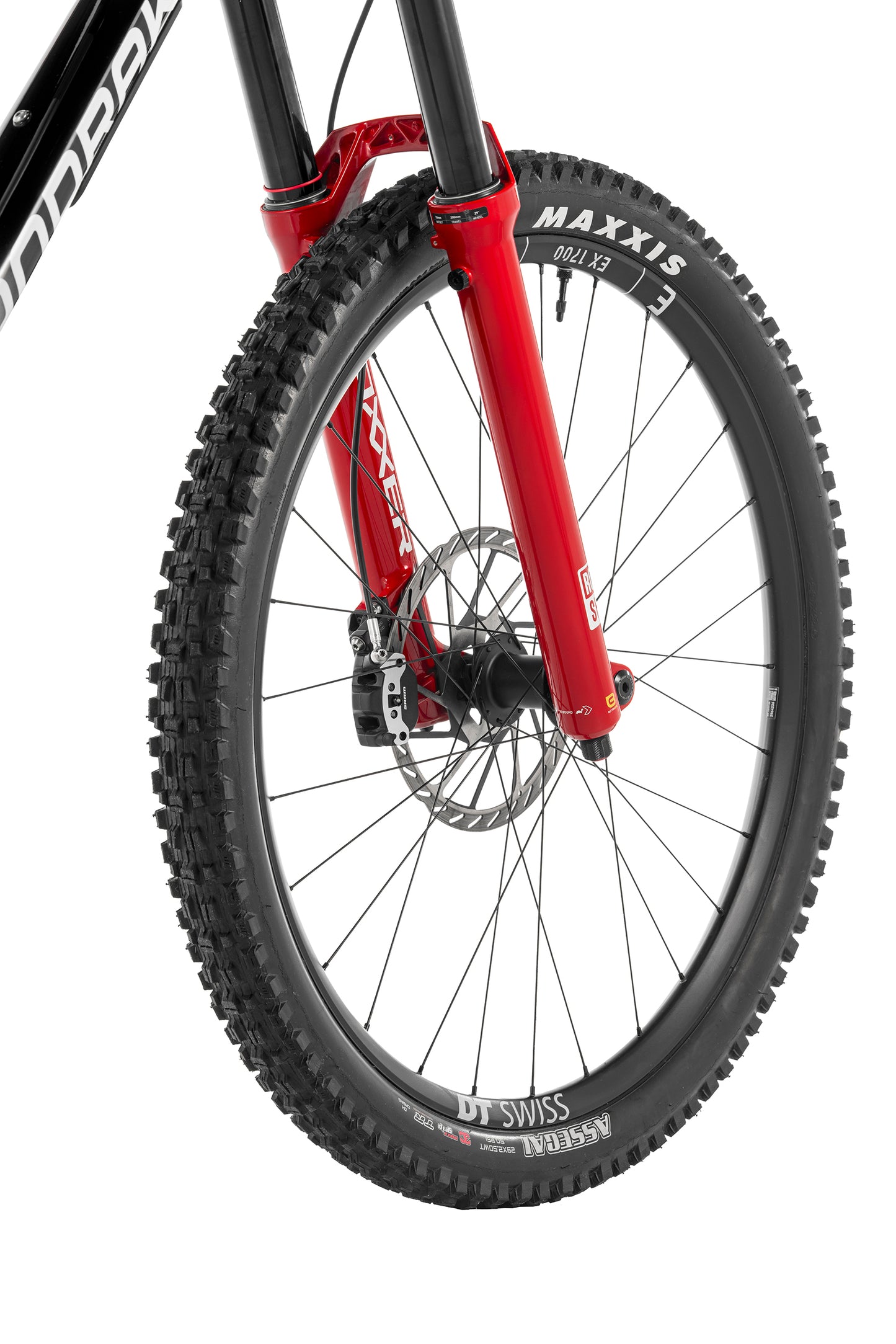 Summum Carbon RR Mullet