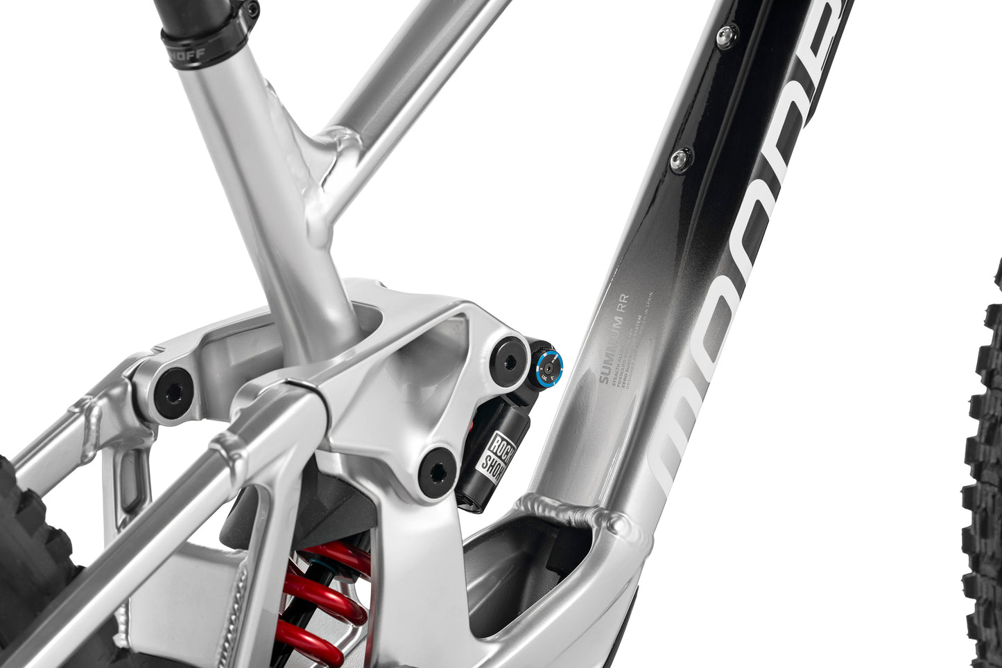 Summum Carbon RR Mullet