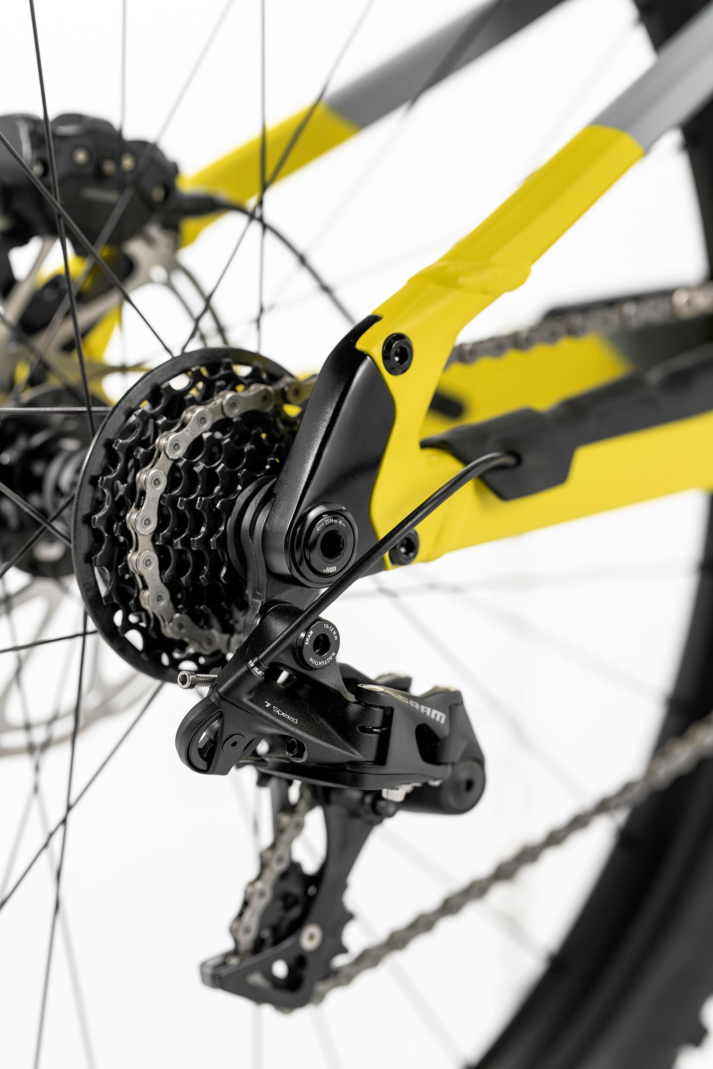 Summum Carbon R Mullet