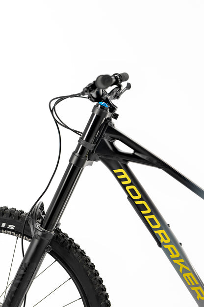 Summum Carbon R Mullet