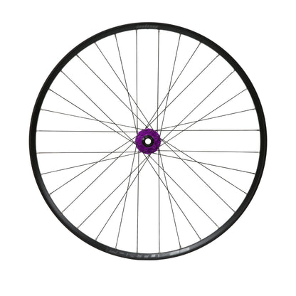 Front Fortus 23W - Pro 5