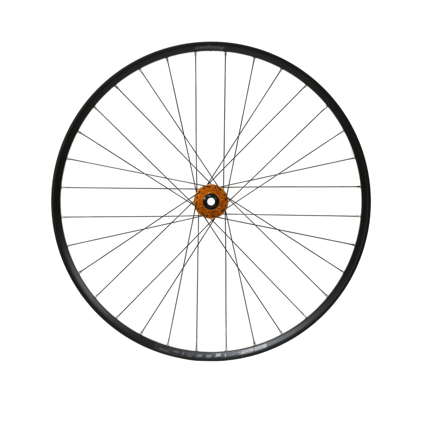 Front Fortus 23W - Pro 5