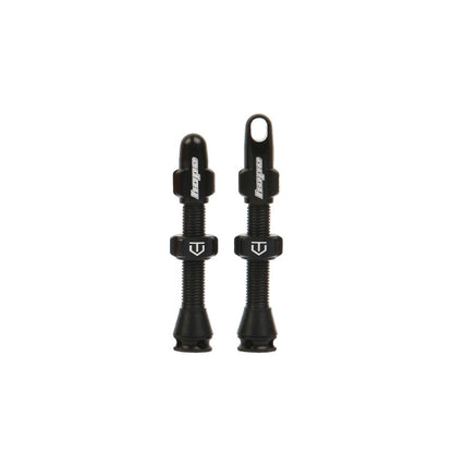 Tubeless Ventile