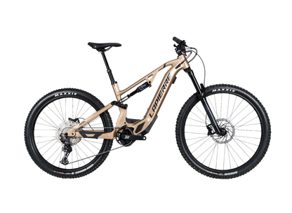 Overvolt AM 5.6 2023