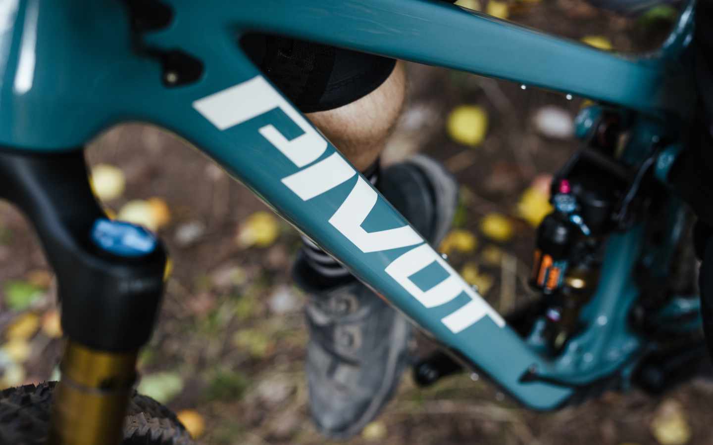Trail 429 Pro Willow Green